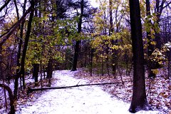 photo 0242